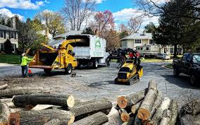 Best Tree Risk Assessment  in East Lansing, MI